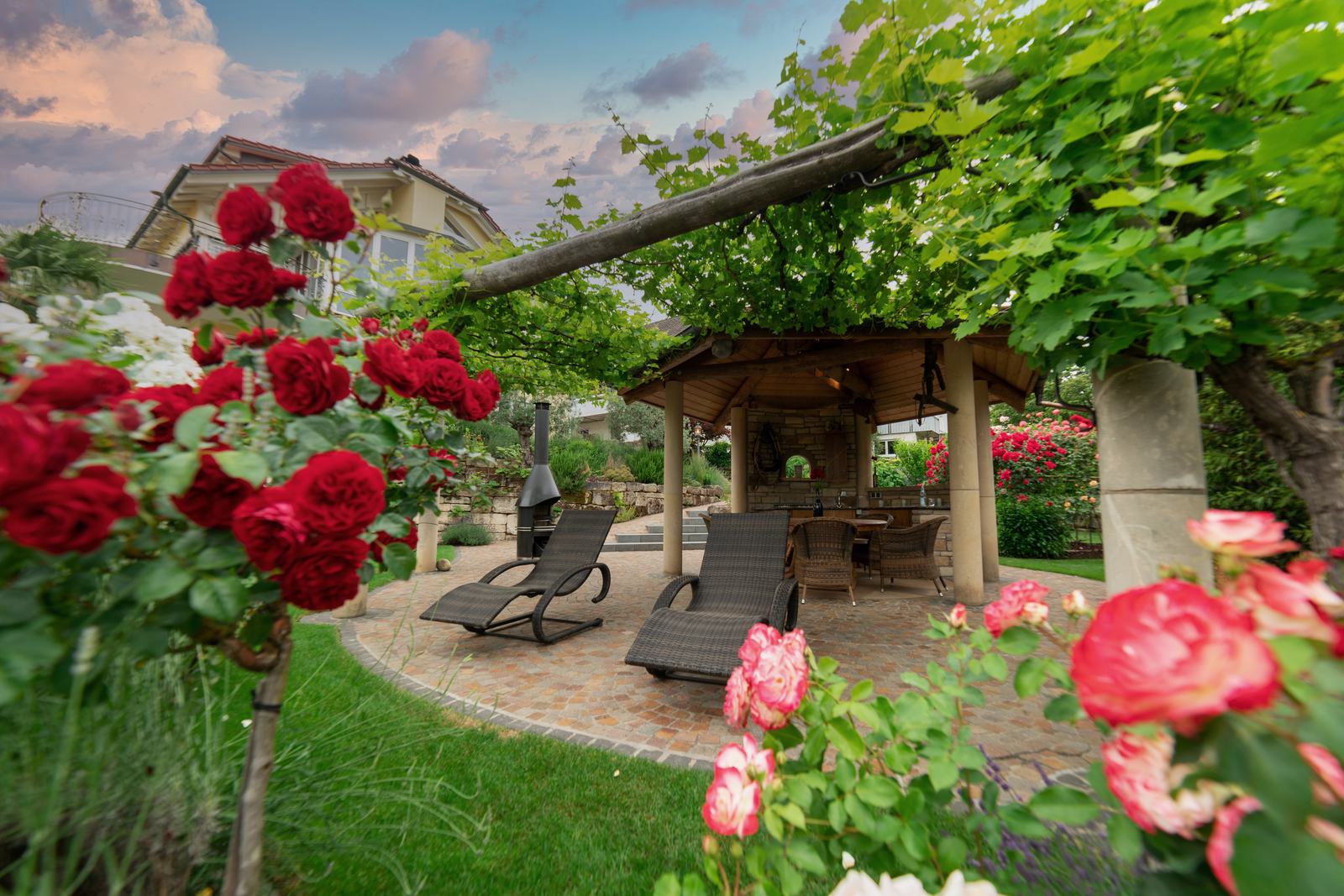 Pergola mit Weinreben und Rosen