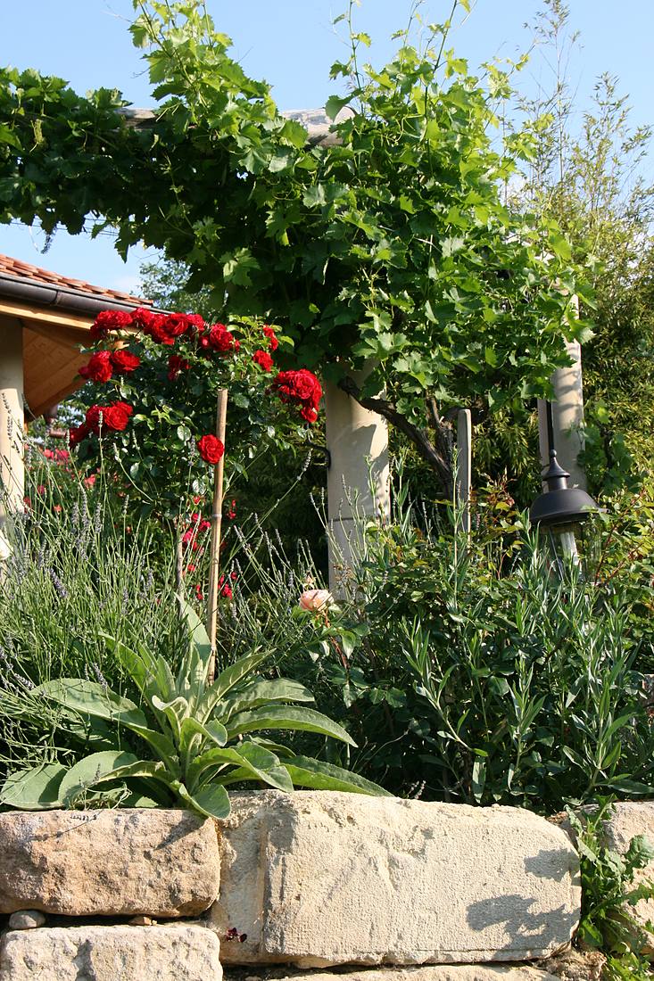Garten- und Bepflanzung