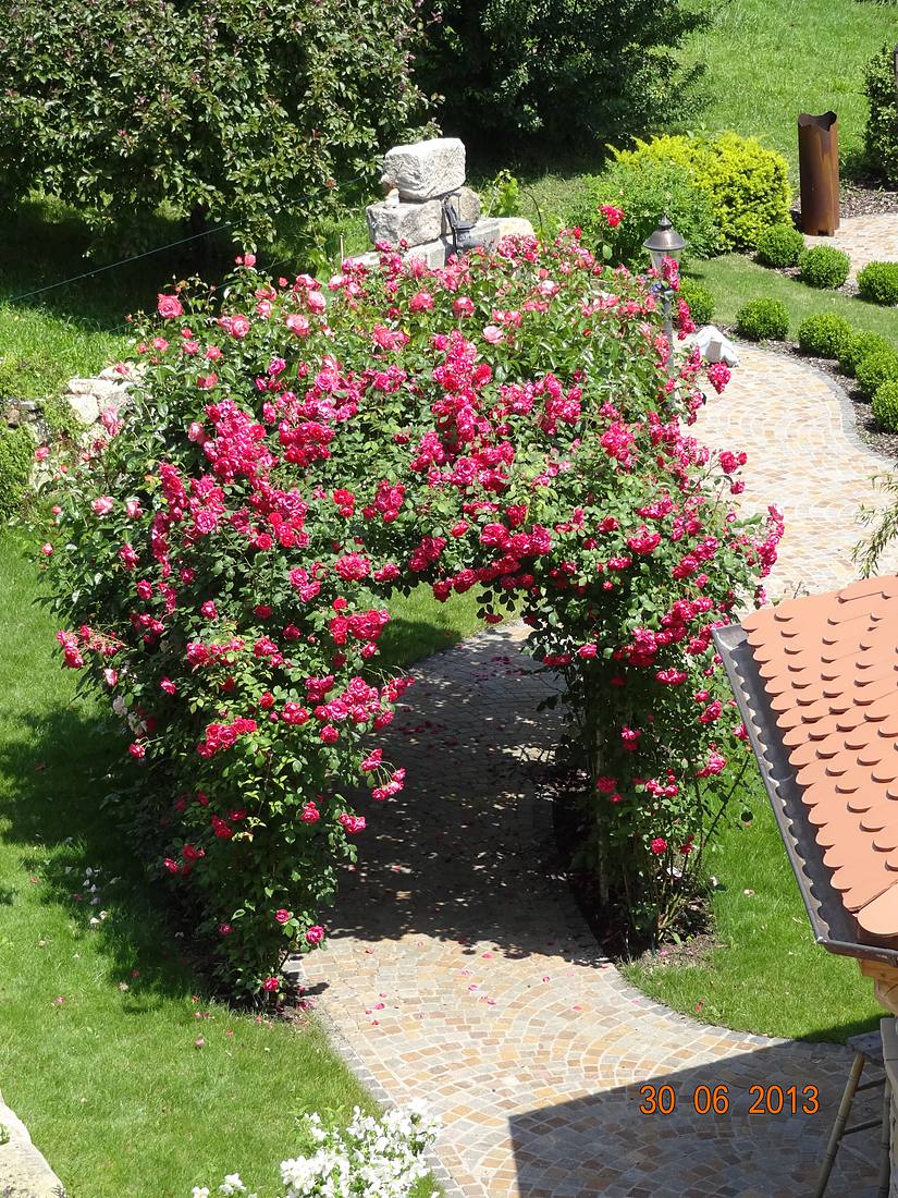 Garten- und Bepflanzung