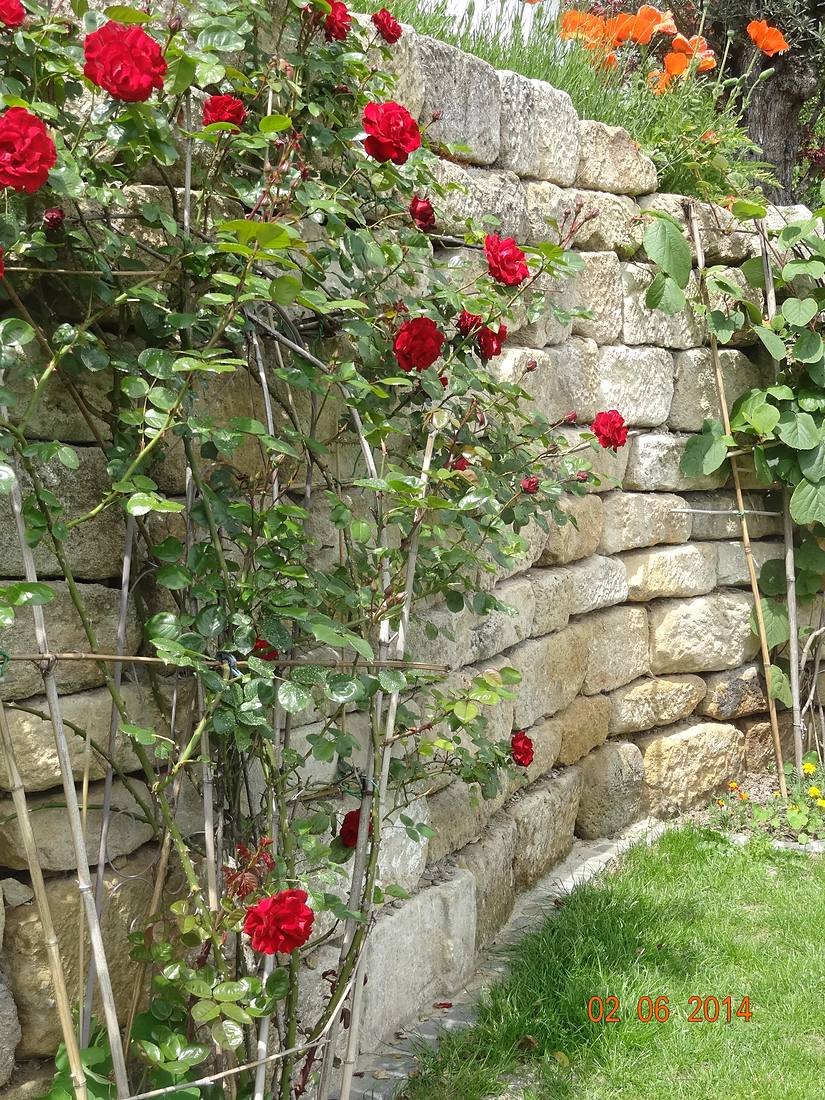 Gestaltungselement im Garten