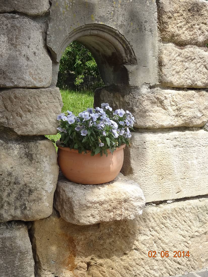 Gestaltungselement im Garten