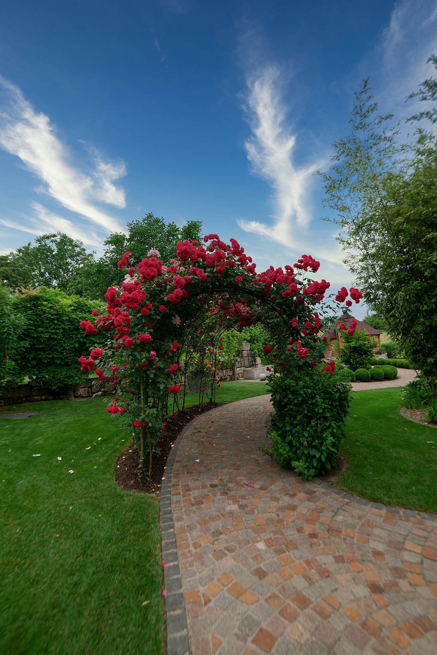 Rosenbogen im Schaugarten