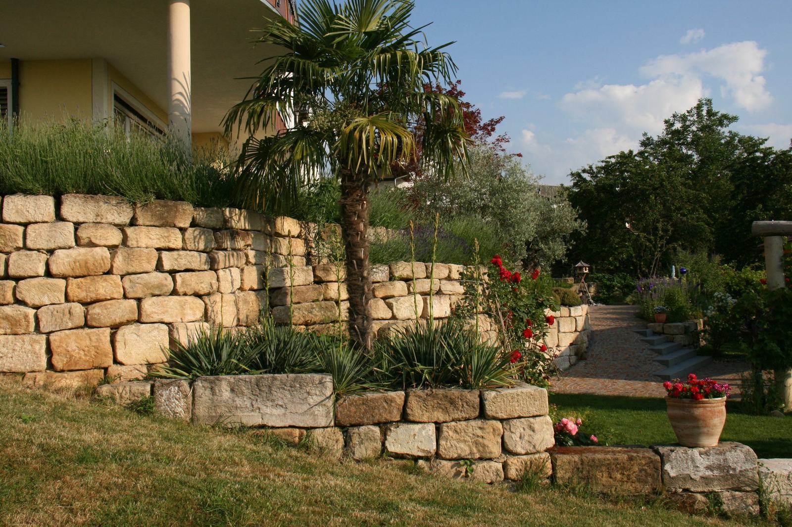 Natursteinmauer mit Palme und Yucca