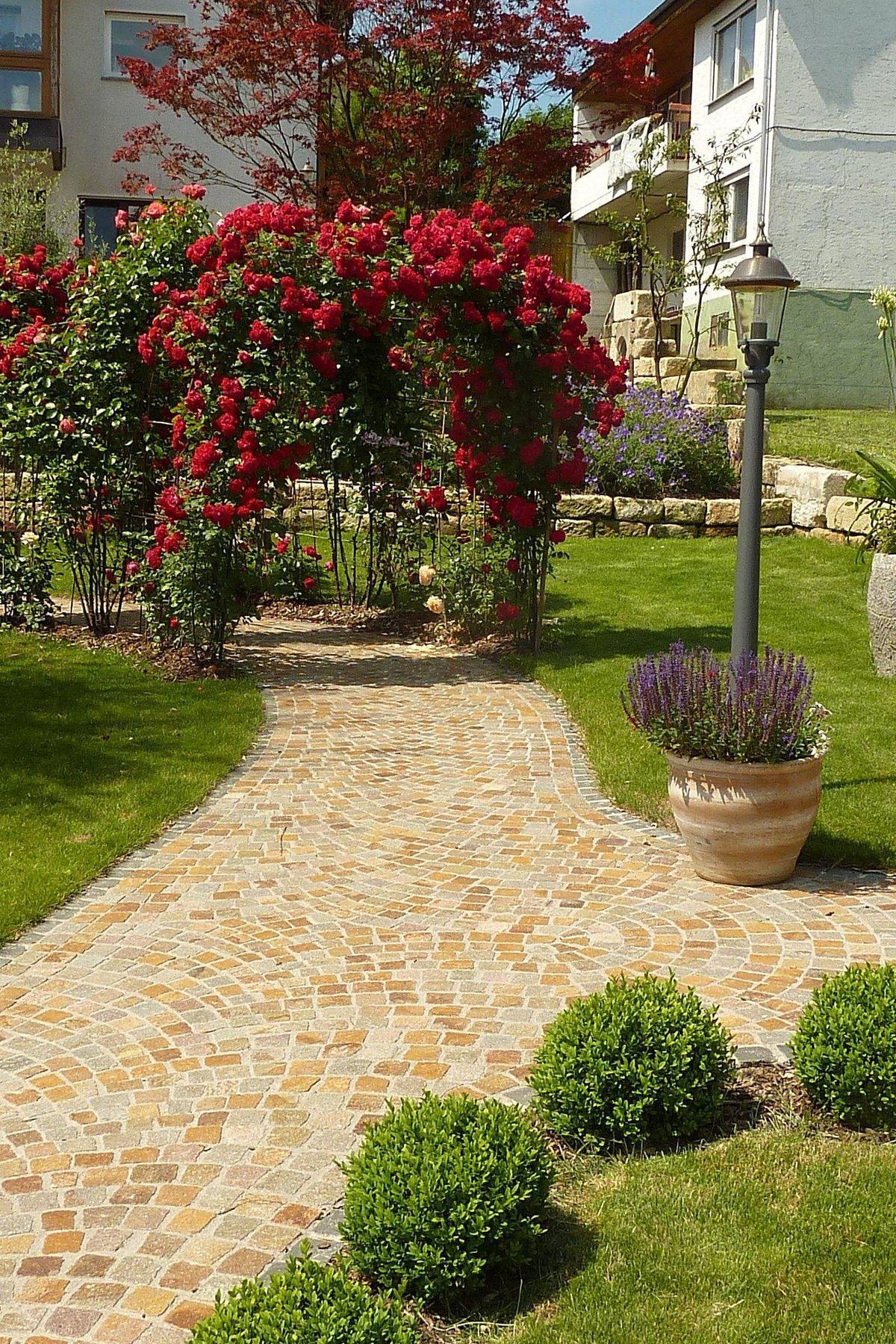 Gepflasterter Gartenweg zwischen Rosen