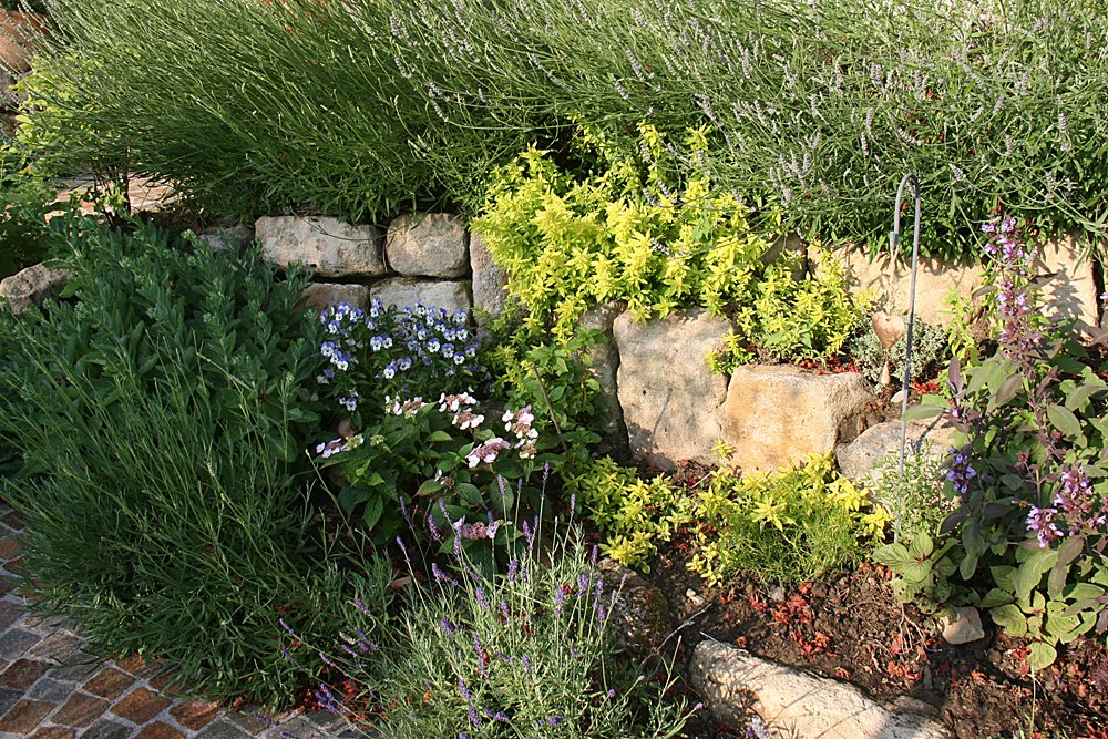 Steingarten mit Lavendel im Klettgau